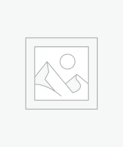 Uncategorized